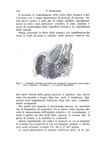 Il morgagni giornale indirizzato al progresso della medicina. Parte 1., Archivio o Memorie originali