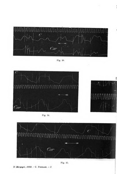 Il morgagni giornale indirizzato al progresso della medicina. Parte 1., Archivio o Memorie originali