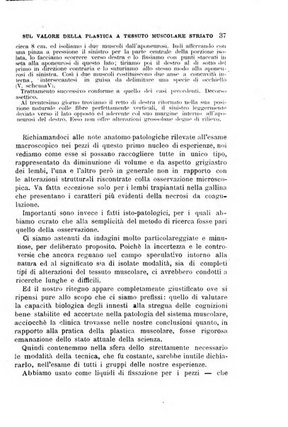 Il morgagni giornale indirizzato al progresso della medicina. Parte 1., Archivio o Memorie originali