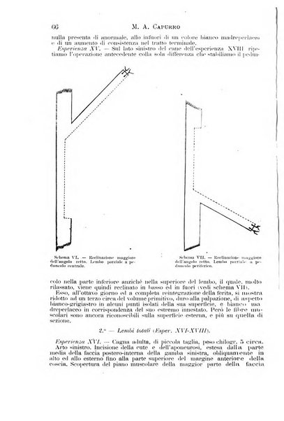 Il morgagni giornale indirizzato al progresso della medicina. Parte 1., Archivio o Memorie originali