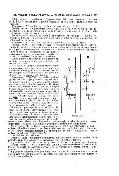 Il morgagni giornale indirizzato al progresso della medicina. Parte 1., Archivio o Memorie originali