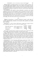 giornale/NAP0034716/1904/unico/00000071