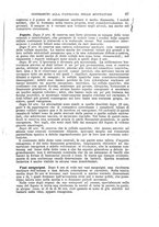 giornale/NAP0034716/1904/unico/00000077