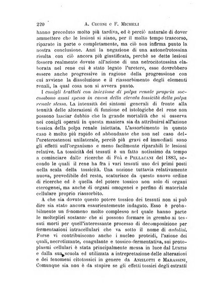 Il morgagni giornale indirizzato al progresso della medicina. Parte 1., Archivio o Memorie originali