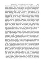 giornale/NAP0034716/1905/unico/00000373