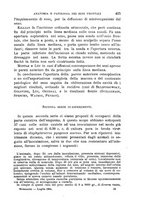 giornale/NAP0034716/1905/unico/00000465