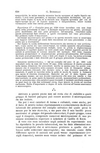 Il morgagni giornale indirizzato al progresso della medicina. Parte 1., Archivio o Memorie originali