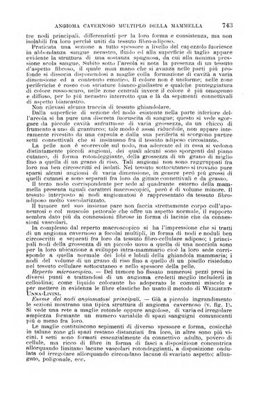 Il morgagni giornale indirizzato al progresso della medicina. Parte 1., Archivio o Memorie originali