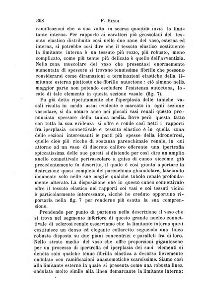 Il morgagni giornale indirizzato al progresso della medicina. Parte 1., Archivio o Memorie originali