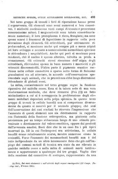 Il morgagni giornale indirizzato al progresso della medicina. Parte 1., Archivio o Memorie originali