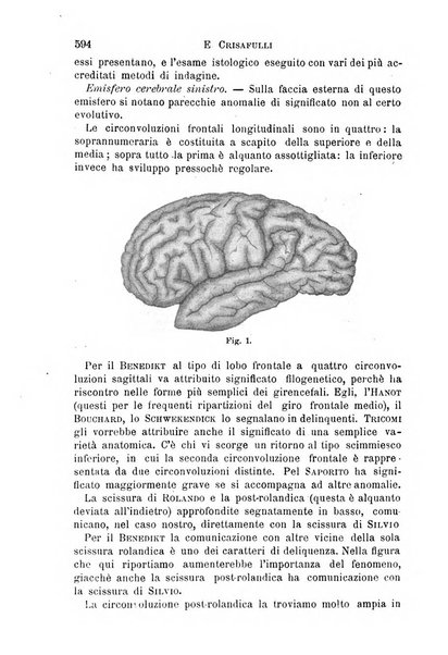 Il morgagni giornale indirizzato al progresso della medicina. Parte 1., Archivio o Memorie originali