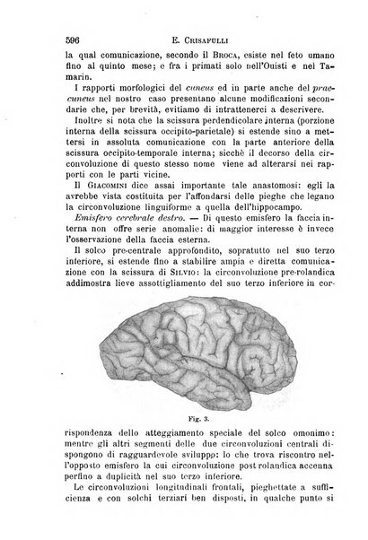 Il morgagni giornale indirizzato al progresso della medicina. Parte 1., Archivio o Memorie originali