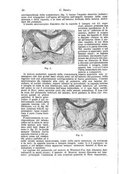 Il morgagni giornale indirizzato al progresso della medicina. Parte 1., Archivio o Memorie originali