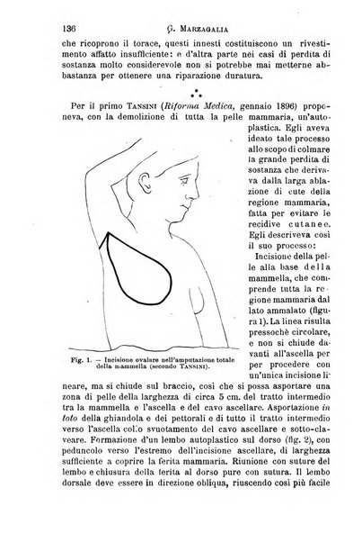 Il morgagni giornale indirizzato al progresso della medicina. Parte 1., Archivio o Memorie originali