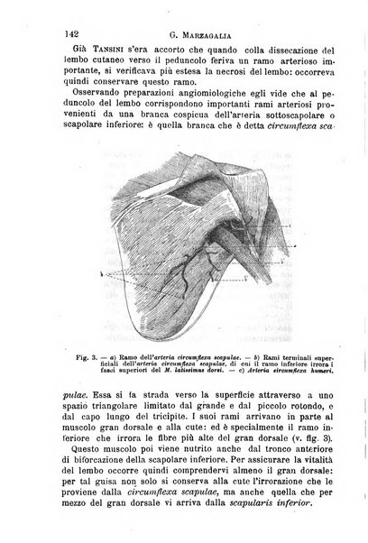 Il morgagni giornale indirizzato al progresso della medicina. Parte 1., Archivio o Memorie originali