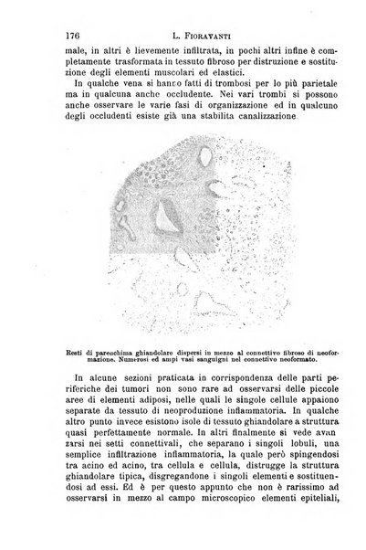 Il morgagni giornale indirizzato al progresso della medicina. Parte 1., Archivio o Memorie originali