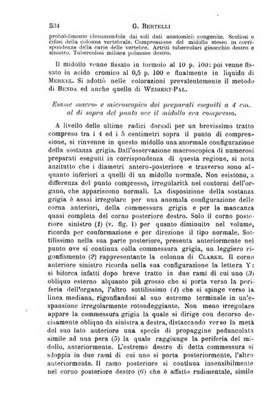 Il morgagni giornale indirizzato al progresso della medicina. Parte 1., Archivio o Memorie originali