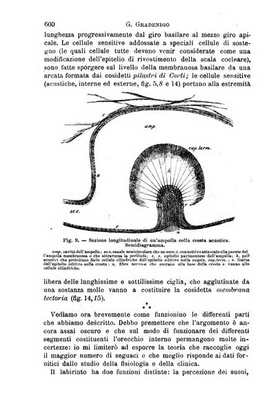 Il morgagni giornale indirizzato al progresso della medicina. Parte 1., Archivio o Memorie originali