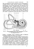 giornale/NAP0034716/1907/unico/00000667