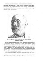 giornale/NAP0034716/1908/unico/00000017