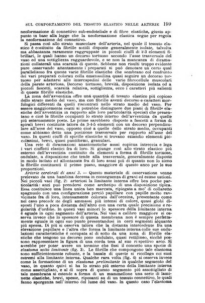 Il morgagni giornale indirizzato al progresso della medicina. Parte 1., Archivio o Memorie originali