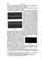 giornale/NAP0034716/1908/unico/00000248