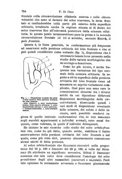 Il morgagni giornale indirizzato al progresso della medicina. Parte 1., Archivio o Memorie originali