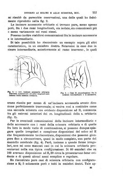 Il morgagni giornale indirizzato al progresso della medicina. Parte 1., Archivio o Memorie originali