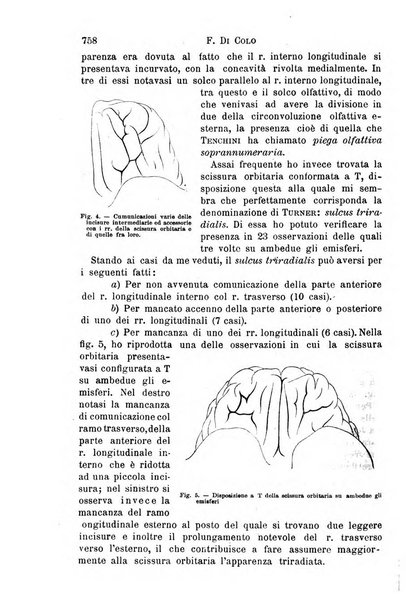 Il morgagni giornale indirizzato al progresso della medicina. Parte 1., Archivio o Memorie originali