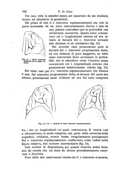 Il morgagni giornale indirizzato al progresso della medicina. Parte 1., Archivio o Memorie originali