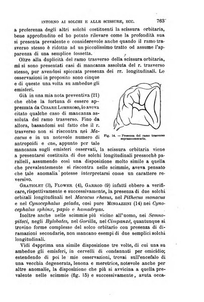 Il morgagni giornale indirizzato al progresso della medicina. Parte 1., Archivio o Memorie originali