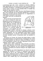 giornale/NAP0034716/1908/unico/00000829