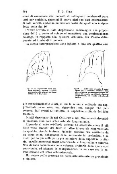 Il morgagni giornale indirizzato al progresso della medicina. Parte 1., Archivio o Memorie originali