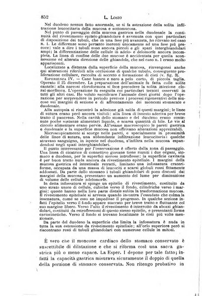 Il morgagni giornale indirizzato al progresso della medicina. Parte 1., Archivio o Memorie originali