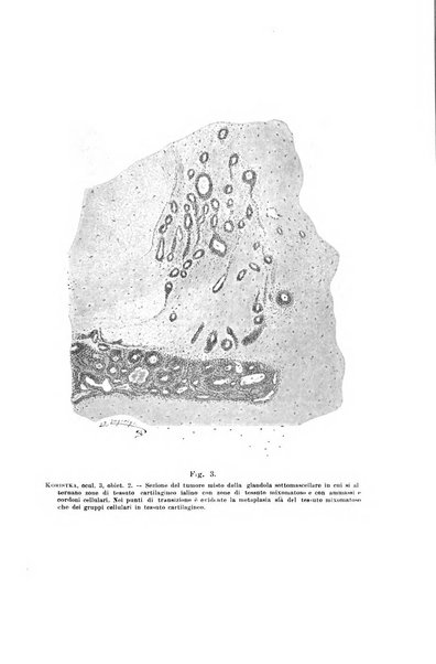 Il morgagni giornale indirizzato al progresso della medicina. Parte 1., Archivio o Memorie originali