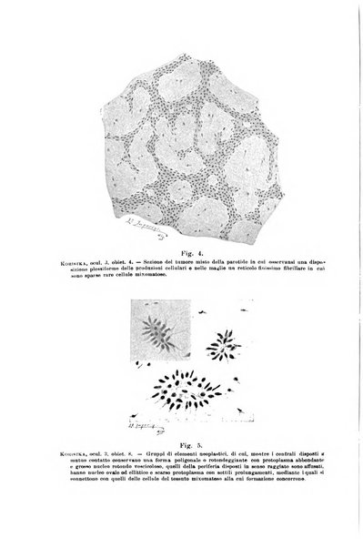 Il morgagni giornale indirizzato al progresso della medicina. Parte 1., Archivio o Memorie originali