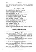 giornale/NAP0034716/1910/unico/00000476