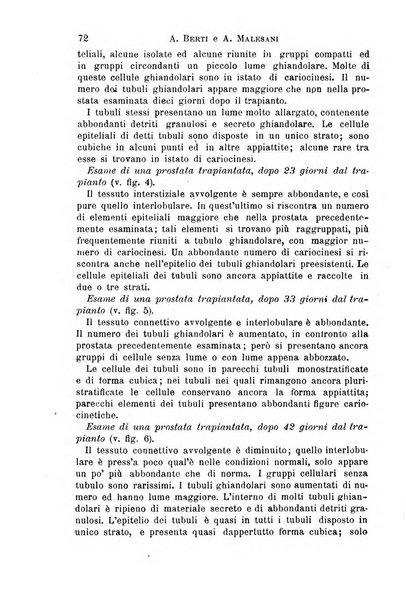 Il morgagni giornale indirizzato al progresso della medicina. Parte 1., Archivio o Memorie originali