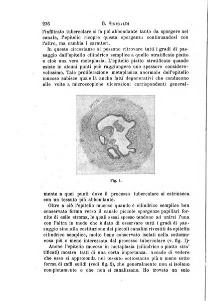 Il morgagni giornale indirizzato al progresso della medicina. Parte 1., Archivio o Memorie originali