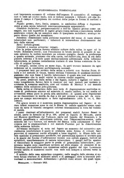 Il morgagni giornale indirizzato al progresso della medicina. Parte 1., Archivio o Memorie originali