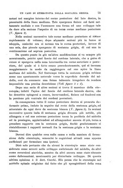 Il morgagni giornale indirizzato al progresso della medicina. Parte 1., Archivio o Memorie originali