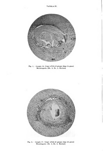 Il morgagni giornale indirizzato al progresso della medicina. Parte 1., Archivio o Memorie originali