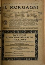 giornale/NAP0034716/1917/unico/00000133