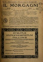 giornale/NAP0034716/1917/unico/00000213