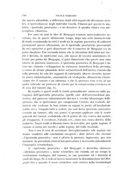 Il morgagni giornale indirizzato al progresso della medicina. Parte 1., Archivio o Memorie originali