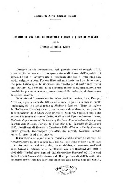 Il morgagni giornale indirizzato al progresso della medicina. Parte 1., Archivio o Memorie originali