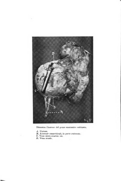 Il morgagni giornale indirizzato al progresso della medicina. Parte 1., Archivio o Memorie originali