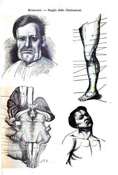 Il morgagni giornale indirizzato al progresso della medicina. Parte 2., Riviste