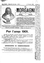 giornale/NAP0034863/1901/unico/00000857