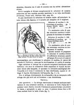 giornale/NAP0034863/1902/unico/00000192